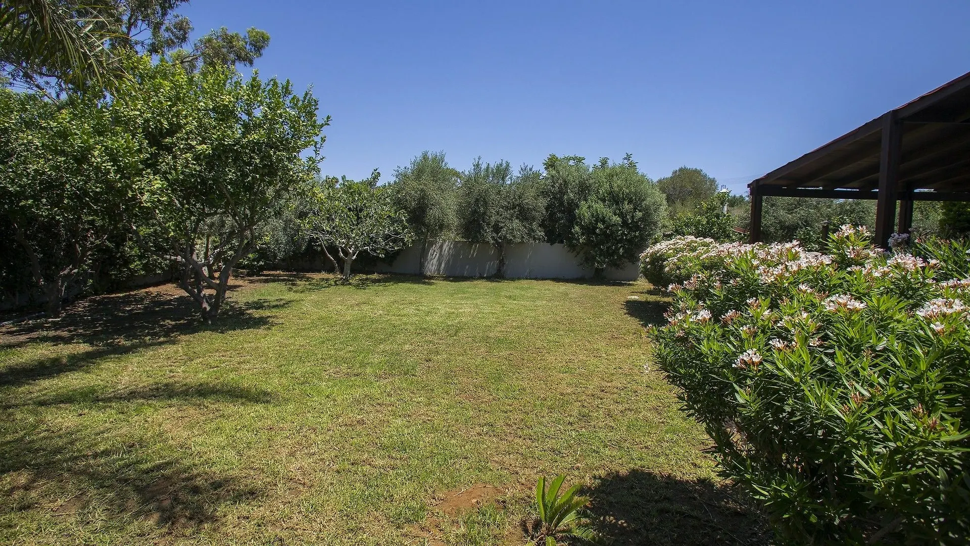 Ayia Napa Villa Magnolia